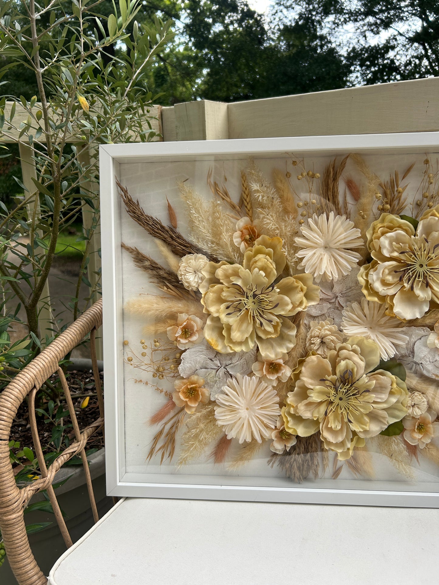 Shadow Box Preservation