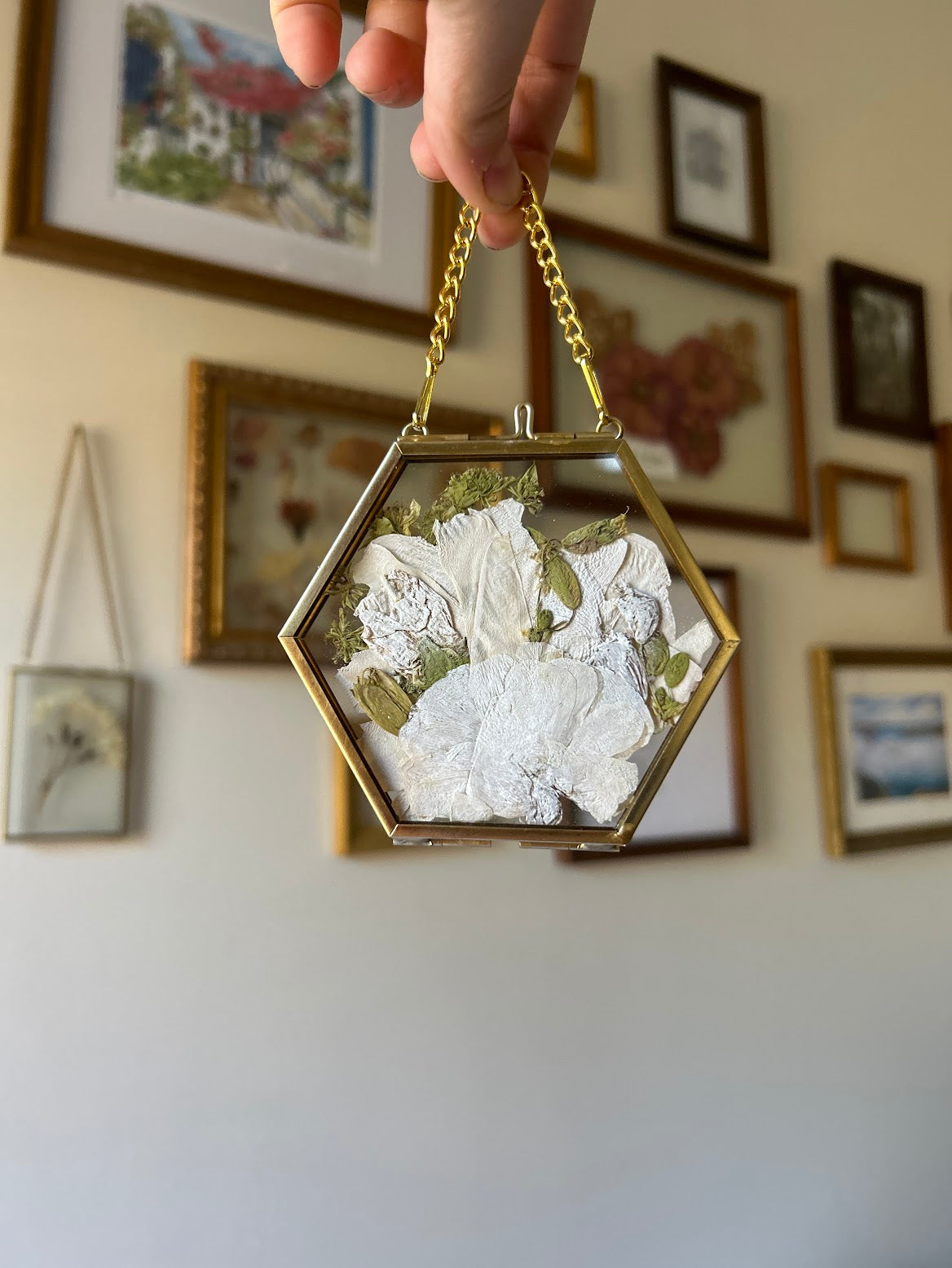Hexagon Frames