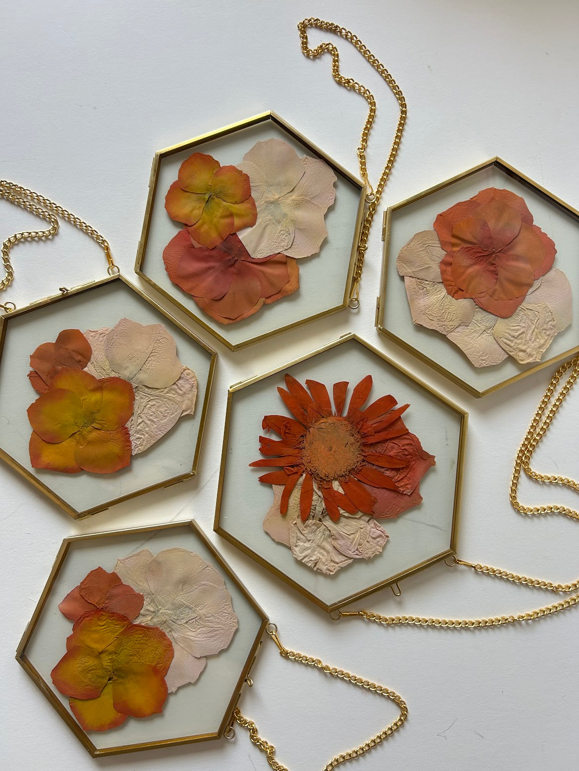 Hexagon Frames