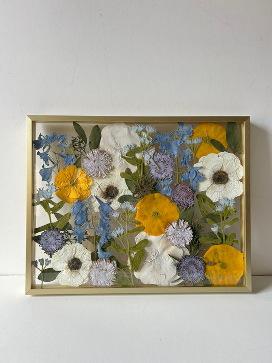 11x14" Frames