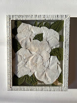 8x10" Frames