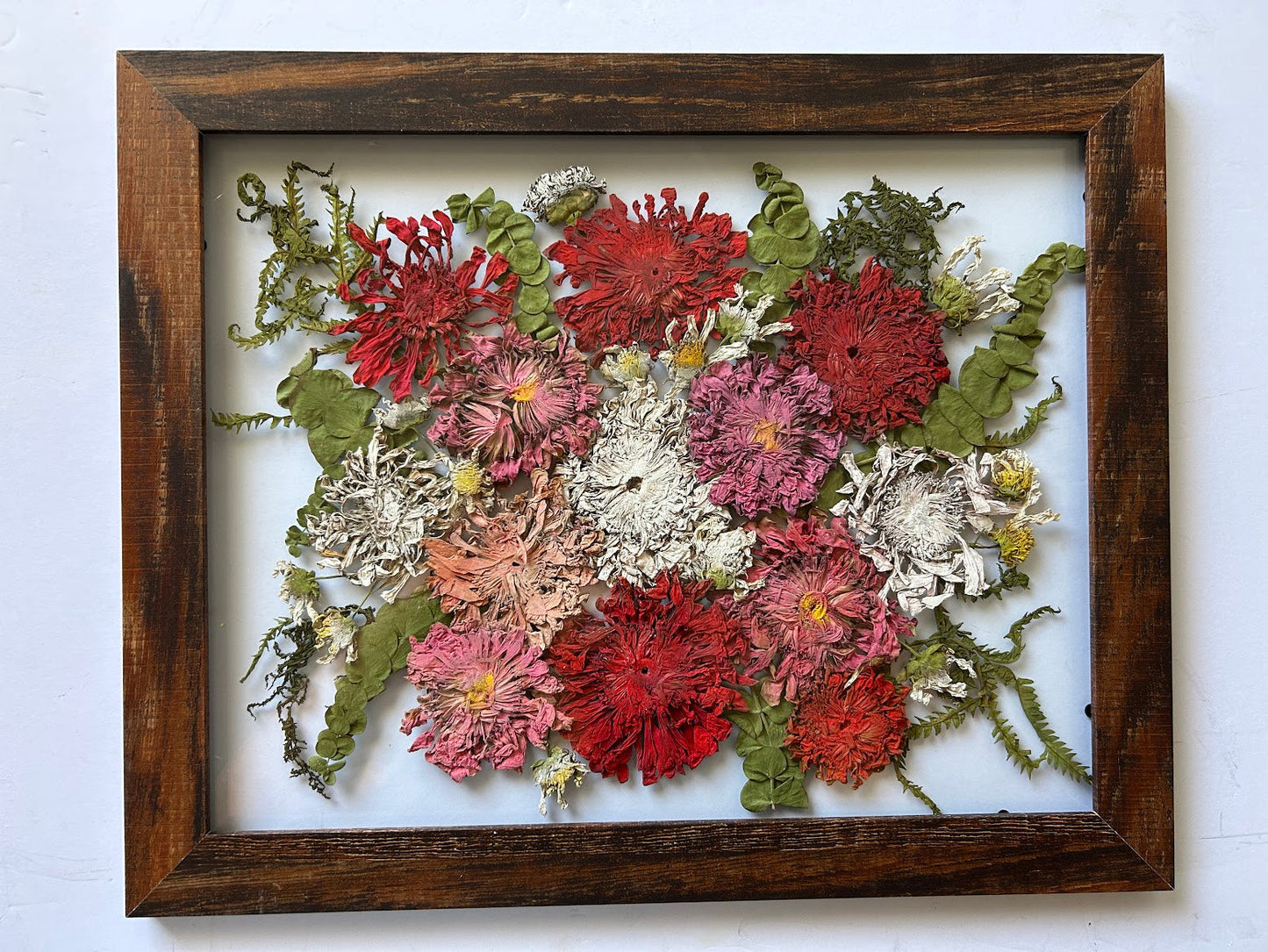 11x14" Frames